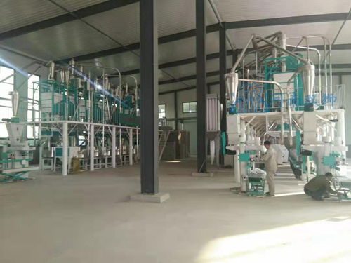 石磨面粉机成套价格诚信企业推荐 河南双狮粮油机械公司